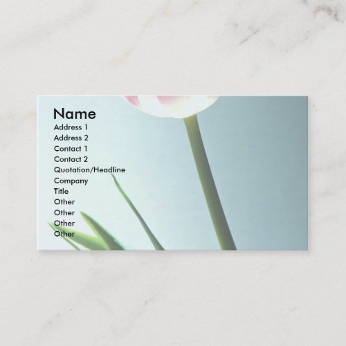 Tulip Business Cards