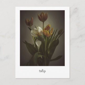 "tulip" by Heidi Rondak Photography Postcard