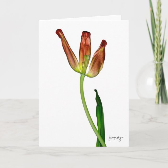 "Tulip" by J. Maya Luz Card (Front)