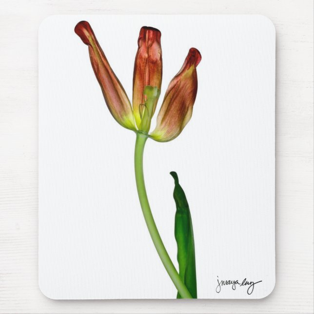 "Tulip" by J. Maya Luz Mouse Pad (Front)