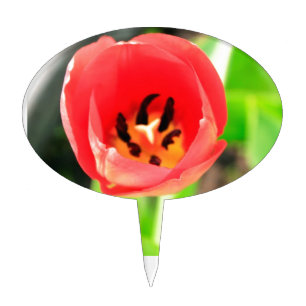 Tulip Cake Topper