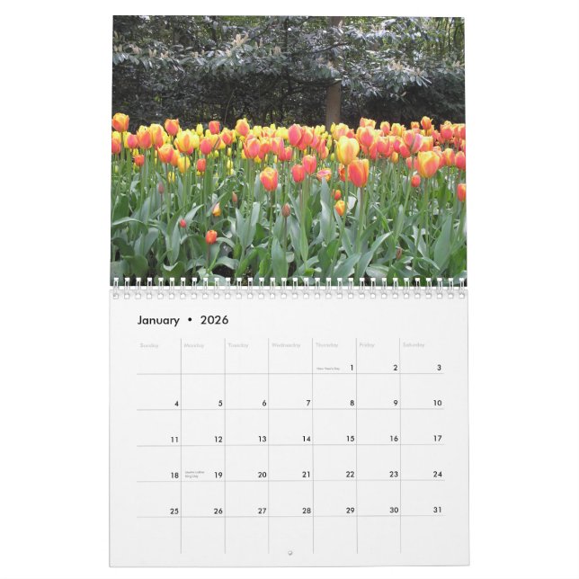 Tulip calendar (Jan 2026)