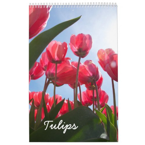 Tulip calendar