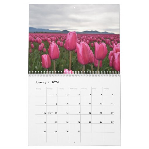 Tulip Calendar Zazzle