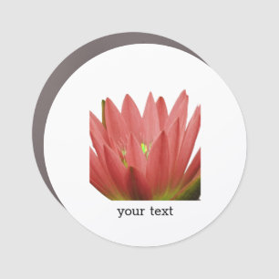 Tulip Car Magnet