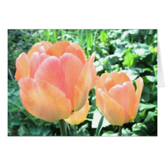 Tulip card