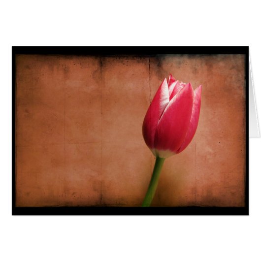 Tulip Cards (Front Horizontal)