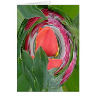 tulip cards