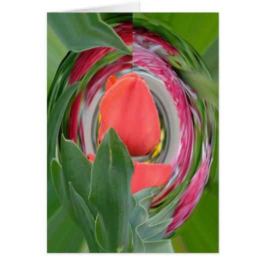 tulip cards (Front)