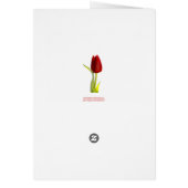 Tulip Cards (Back)