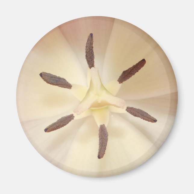 Tulip Center Magnet (Front)