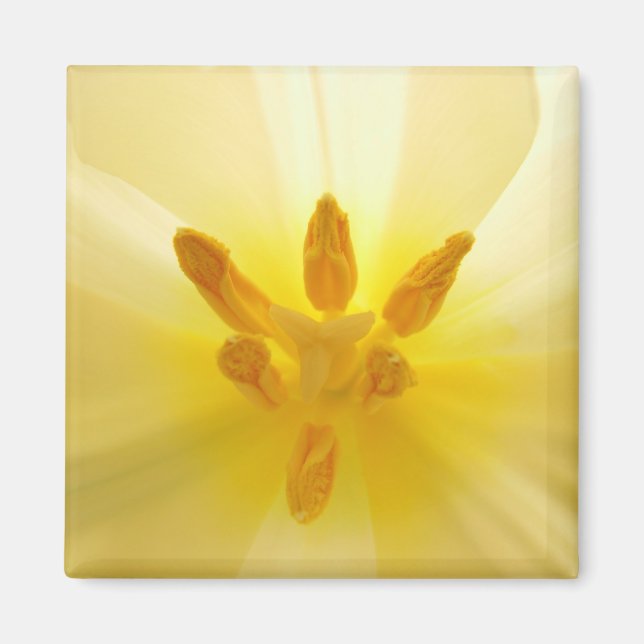 Tulip Center Magnet (Front)
