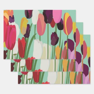 Tulip Colorful Flower Floral Pattern Tulip