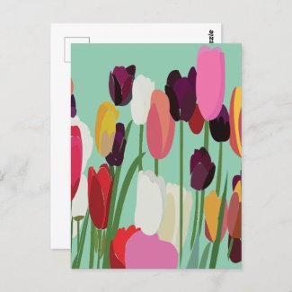 Tulip Colorful Flowers Floral Tulip