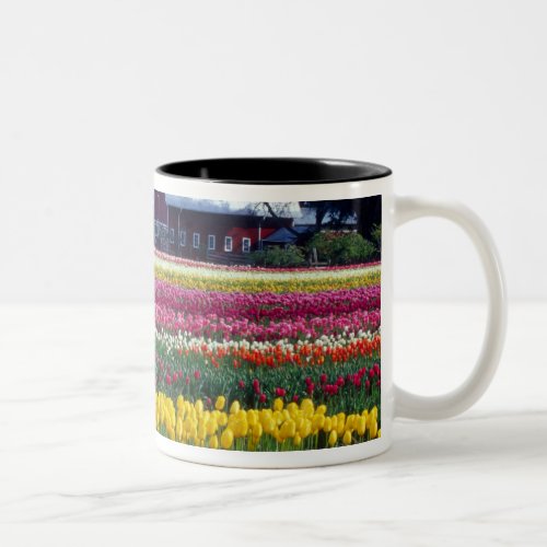 Tulip display field Two_Tone coffee mug