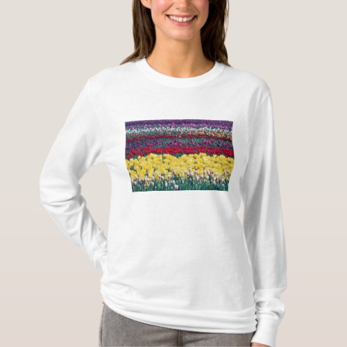 Tulip display garden in Skagit county T_Shirt