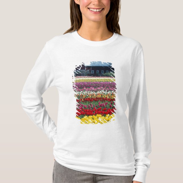 Tulip display garden, Skagit county, T-Shirt (Front)