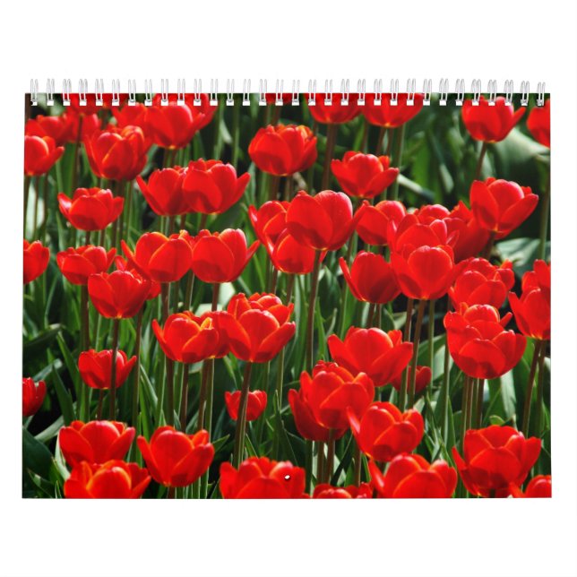 Tulip Elegant Rose Floral Pretty Flowers new year Calendar (Cover)