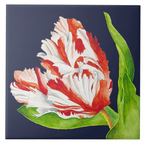 Tulip Estella Rijnveld on a Ceramic Tile