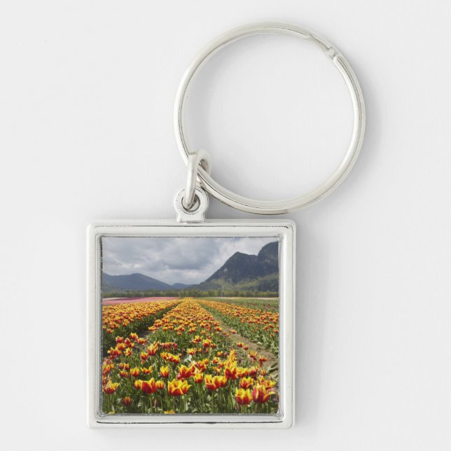 Tulip Farm near Agassiz, British Columbia, Keychain (Front)