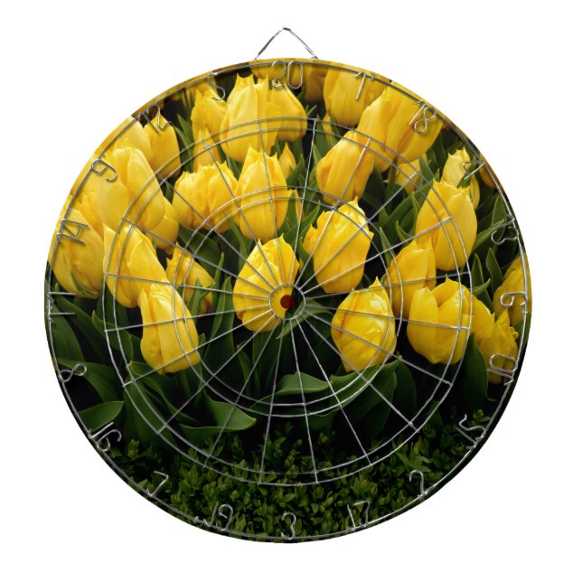 Tulip Festival - 27 Dartboard with 6 Brass Darts (Front)