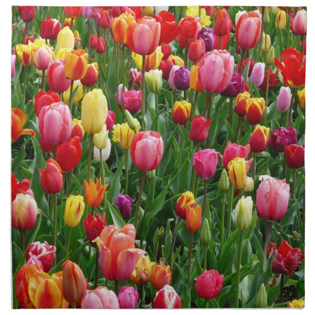 Tulip Festival Cloth Napkin (Front)