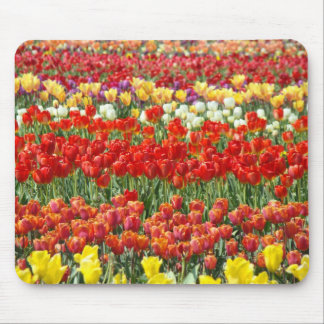 Tulip Festival Flower mousepad Holiday gift Office