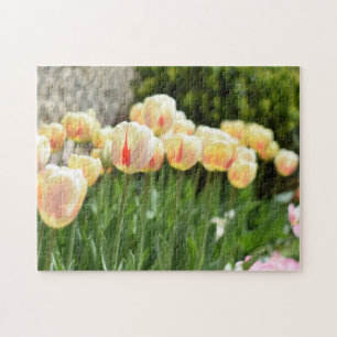 Tulip Festival Flower Nature Photography Garden Jigsaw Puzzle