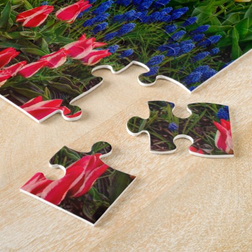 Tulip Festival Jigsaw Puzzle Zazzle