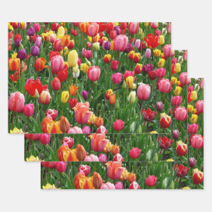 Tulip Festival Wrapping Paper Sheets