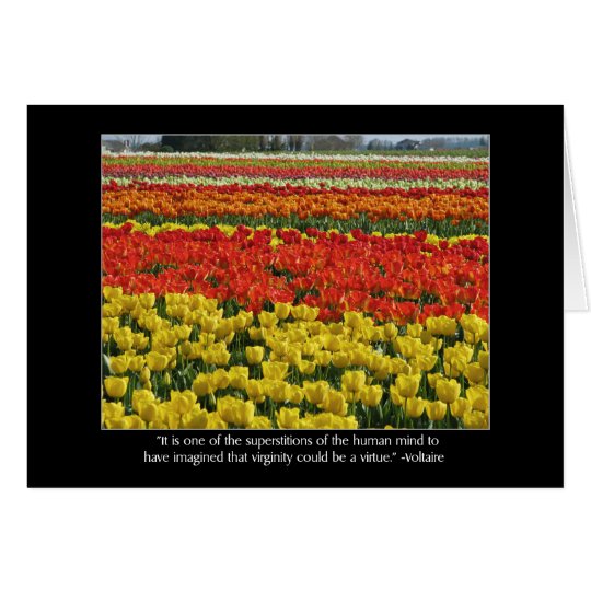 Tulip Field and Voltaire Quote Card