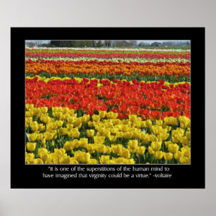 Tulip Field and Voltaire Quote Poster
