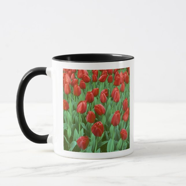 Tulip field blooms in the spring. mug (Left)