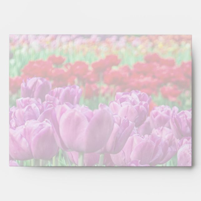 Tulip Field Envelope (Front)