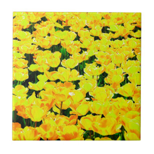 Tulip field - golden yellow tile