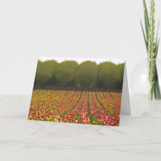 Tulip Field Greeting Card (Front)