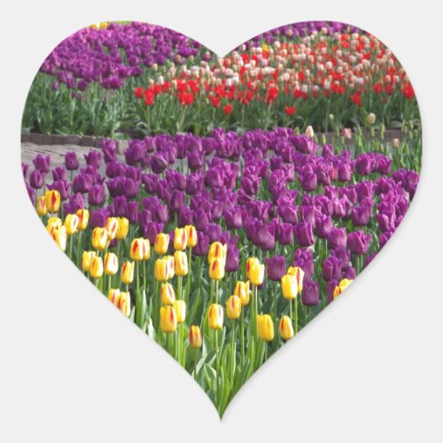 Tulip Field Heart Sticker