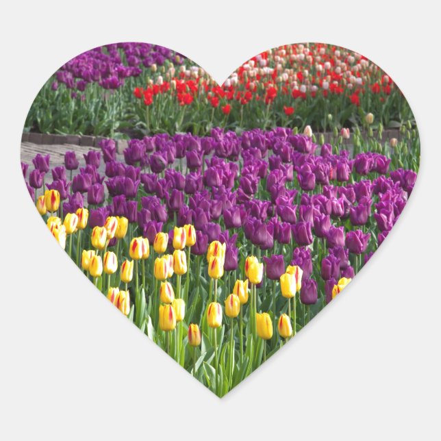 Tulip Field Heart Sticker (Front)