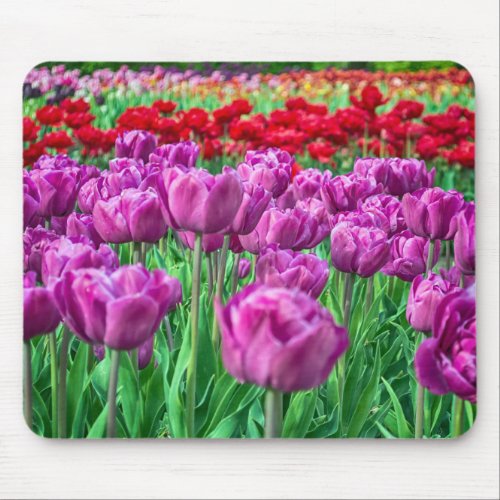 Tulip Field Mouse Pad