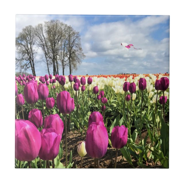 Tulip Field with Kite, Oregon Ceramic Tile (Front)