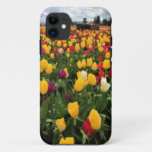 Tulip Field with Old Tractor, Oregon iPhone 11 Case