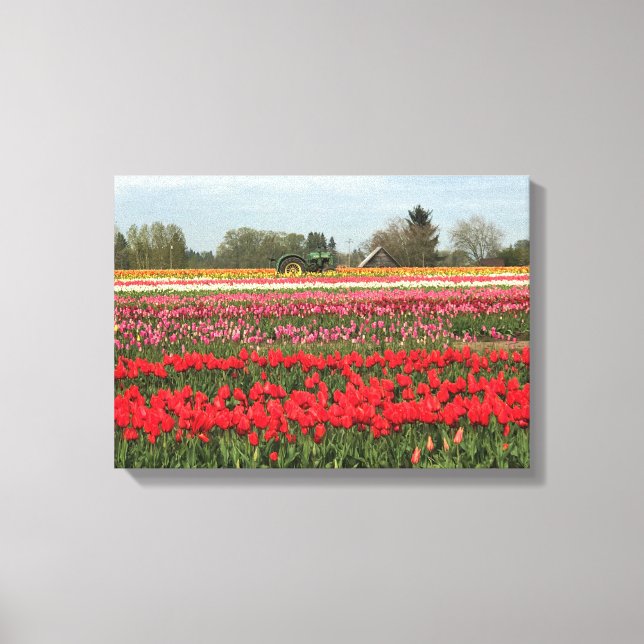 Tulip Field with Tractor and Barn Canvas Print (Front)