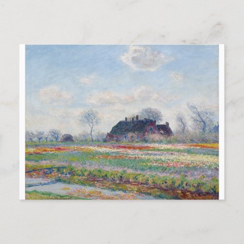 Tulip Fields at Sassenheim by Claude Monet Postcard