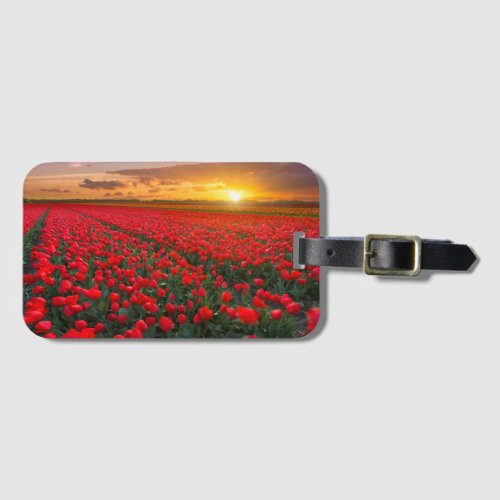 Tulip Fields at Sunset in the Netherlands Luggage Tag