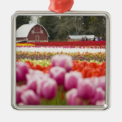 Tulip fields of Mt Vernon Skagit County WA Metal Ornament