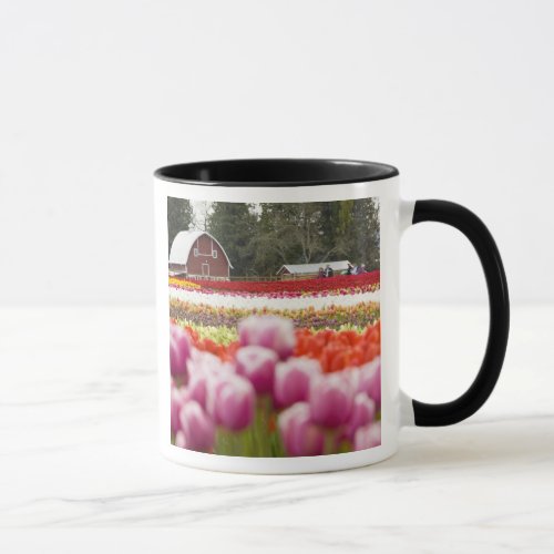 Tulip fields of Mt Vernon Skagit County WA Mug