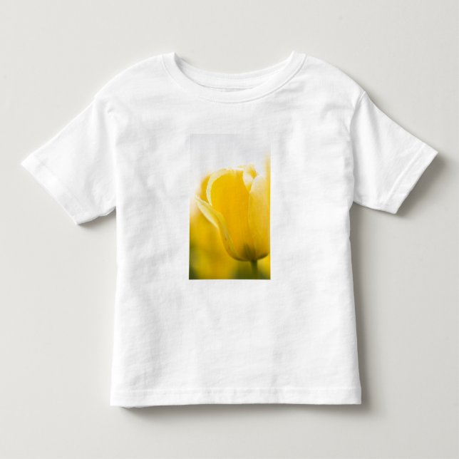 Tulip fields of Mt. Vernon, Skagit County, WA. Toddler T-shirt (Front)