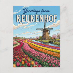 Tulip Fields & Windmills, Lisse Netherlands Postcard