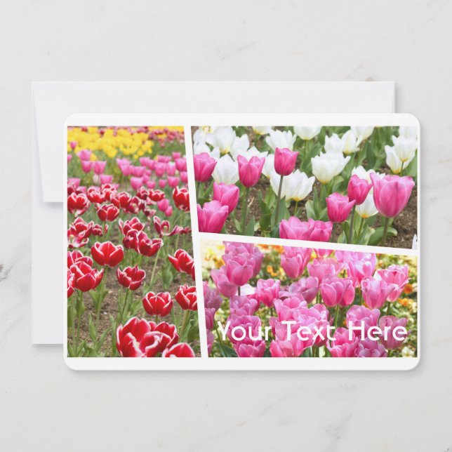 Tulip [Flat Card] (Front)