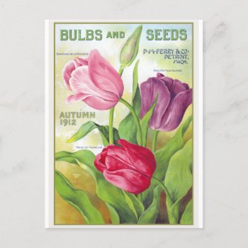 Tulip Flower Botanical Vintage Postcard by LittleLittleDesign at Zazzle